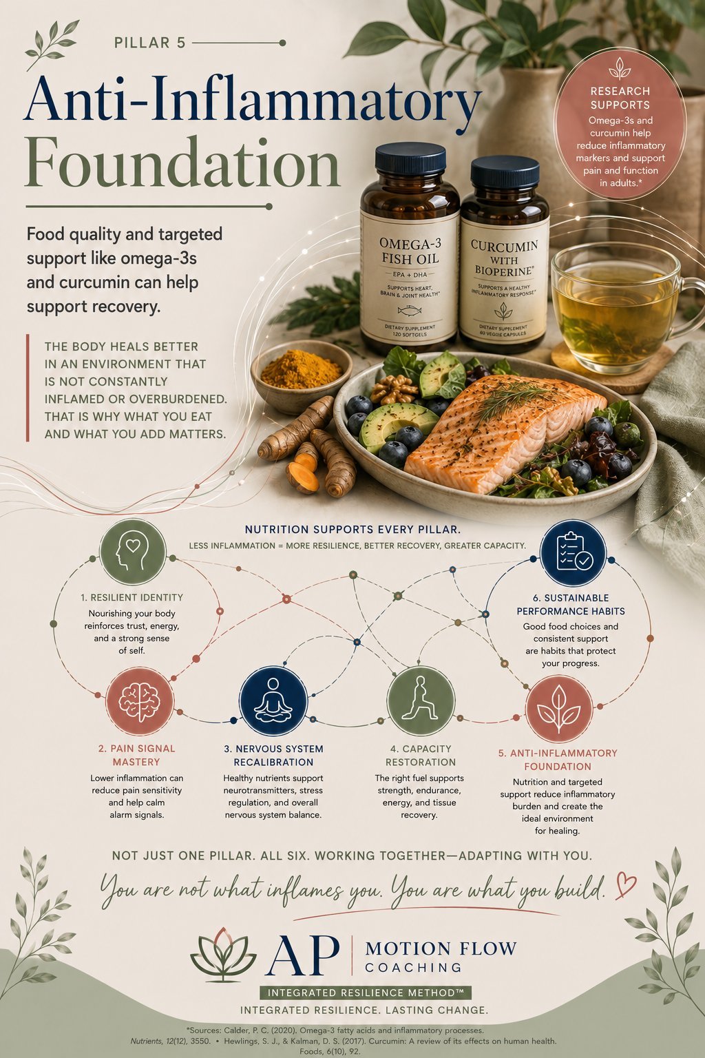 Pillar V: Anti-Inflammatory Foundation - full editorial poster